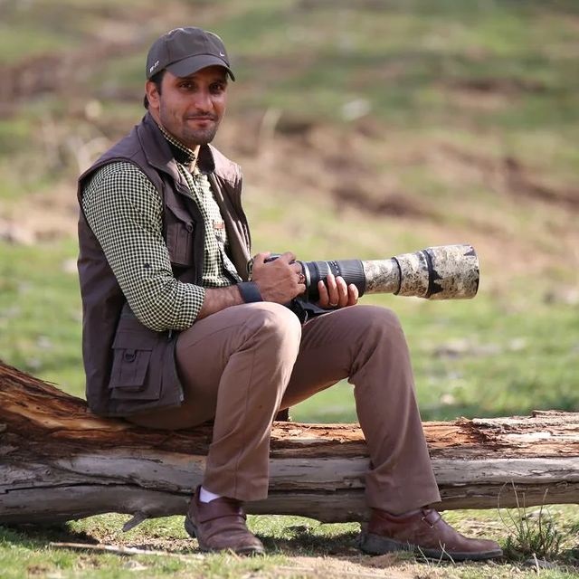 مهدی شریفی
