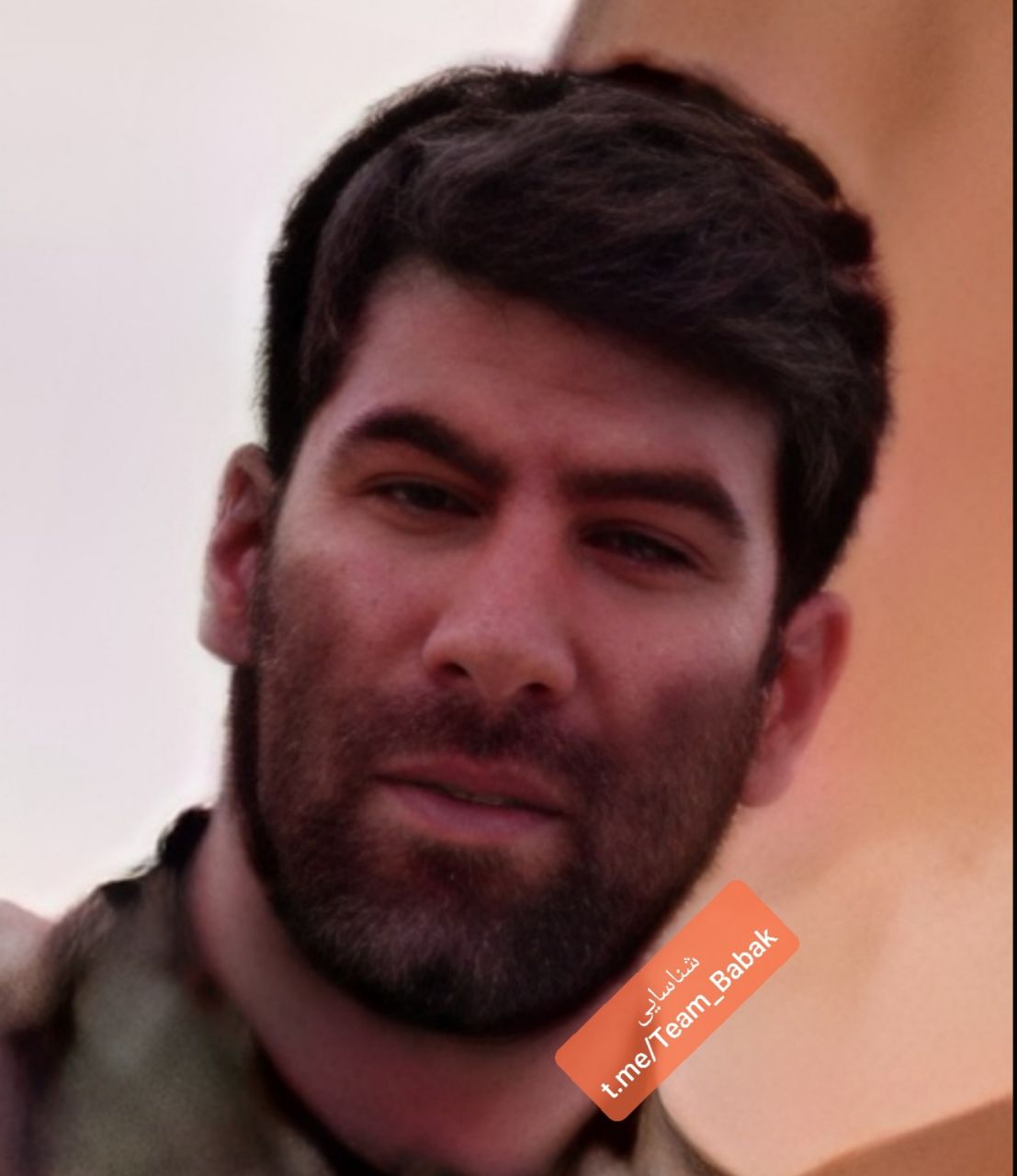 مهرداد گوگ تپه